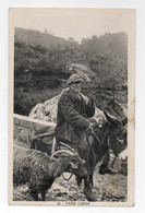 Delcampe - CORSE - TYPE CORSE - Corse