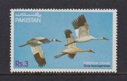 Pakistan 1983 MiNr. 593 Fauna (VIII). Birds Vogel Siberian Crane 1v MNH** 6,00 € - Pakistan