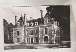 CPSM BRINON SUR SAULDRE (Cher) - Château De La Minée - Brinon-sur-Sauldre