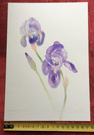 Aquarelle Peinture Peinte à La Gouache Par Amatrice Signé Faby-Origine Aubagne:Thème: DEs Fleurs Des Iris - Aquarelles