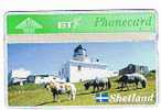 SHETLAND -   SHETLAND PONIES AND LIGHTHOUSE -  NUOVA - Horses