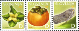 196764 MNH ESLOVENIA 2006 CAQUI - Arañas