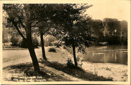 Belgique - Brabant Flamand - Tervueren - Tervuren - Le Parc - Allée Vers La Maison Espagnole - Tervuren