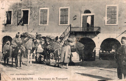 BEYROUTH / CHAMEAUX DE TRANSPORT - Lebanon