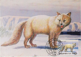 Romania 1996 Polar Fox 1v Maxicard (AN166) - Fauna ártica