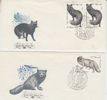 Russia 1980  Polar Fox 2 FDC 25.6.1980 (AN166C) - Fauna Artica