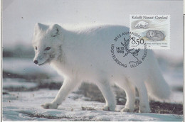 Greenland 1993 Polarwolf 1v Maxicard 14.10.1993 (AN167A) - Arctische Fauna