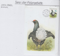 Czech Republic 1998 Birkhuhn 1v Maxicard 23.4.1998 (AN169) - Fauna Artica