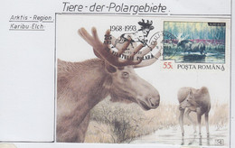 Romania  1993 Moose 1v Maxicard (AN170) - Fauna ártica