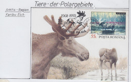 Romania  1993 Moose 1v Maxicard (AN170) - Arctische Fauna