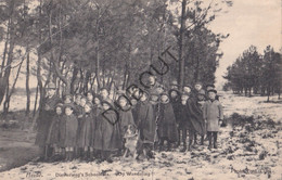 Postkaart/Carte Postale - Heide-Kalmthout - Diesterweg's Schoolvilla  (C3713) - Kalmthout