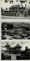 LAEKEN « Pavillon Chinois » - Lot De 3 CP - Laeken