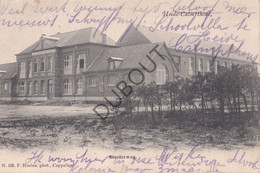 Postkaart/Carte Postale - Heide-Kalmthout - Diesterweg  (C3743) - Kalmthout