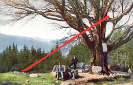 Photochromie AK Frühling Riesengebirge Buche A Schmiedeberg Kowary Krummhübel Karpacz Hirschberg Leipelt Warmbrunn 2357 - Schlesien