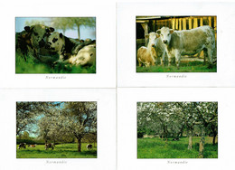 BALADE EN NORMANDIE - LES VACHES - 4 Cartes - Production Leconte - Editions Le Goubey (ref GM 11 - 120- 123 - 130) - Cows