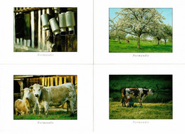 BALADE EN NORMANDIE - LES VACHES - 4 Cartes - Production Leconte - Editions Le Goubey (ref GM 71 - 78- 116 - 120) - Kühe