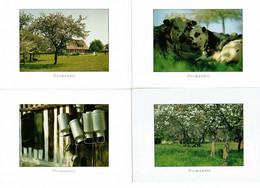 BALADE EN NORMANDIE - LES VACHES - 4 Cartes - Production Leconte - Editions Le Goubey (ref GM 40 - 78- 123 - 130) - Cows