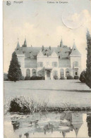 HOUYET - Château De Ciergnon.1909, Vers Anvers. Collection Nels, Bruxelles, Série Houyet N° 17. - Houyet