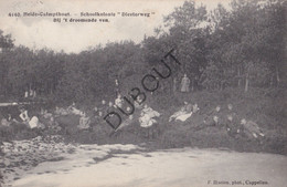 Postkaart/Carte Postale - Heide-Kalmthout - Schoolkolonie Diesterweg (C3774) - Kalmthout