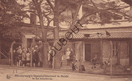 Postkaart/Carte Postale - Heide-Kalmthout - Diesterweg's Openluchtschool  (C3741) - Kalmthout