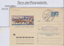 Russia Cover With Reindeer Ca 31.3.1974 (AN173) - Arctische Fauna