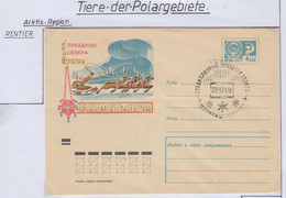 Russia Cover With Reindeer Ca 29.3.1971 (AN174) - Fauna ártica