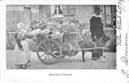 Belgique - Maraichers Flamands - VED - Attelage à Chien - Oblitéré Verviers 1904 - Carte Postale Ancienne - Verviers