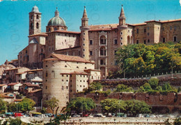 CARTOLINA  URBINO,MARCHE-PANORAMA-STORIA,MEMORIA,CULTURA,RELIGIONE,IMPERO ROMANO,BELLA ITALIA,VIAGGIATA - Urbino