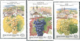 325546 MNH HUNGRIA 1997 VINOCULTURA - Gebruikt