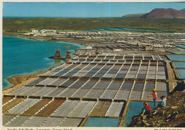 Janubio Salt-Works - Lanzarote - Canary Islands - Von 1974 (58880) - Lanzarote