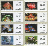 327499 MNH IRLANDA 2010 FAUNA - Collezioni & Lotti