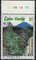 Cap Vert 2011 Neuf Echium Vulcanorum Espèce Endémique Rare Chã Das Caldeiras - Cap Vert