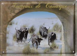 PLAQUE METAL 21 X 15  -  TAUREAUX De CAMARGUE - Taureaux