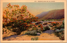 Cactus Creosote Bush On The Desert - Cactus