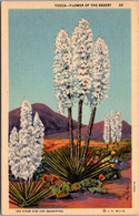 Cactus Yucca Flowers Of The Desert Curteich - Cactus