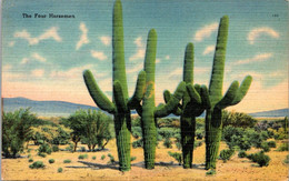 Cactus The Four Horsemen Sahuaru Giant Cactus - Cactus