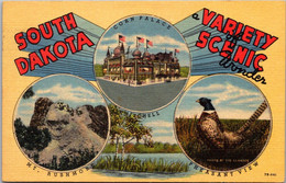 South Dakota A Variety Of Scenic Wonder Multi View 1947 Curteich - Other & Unclassified
