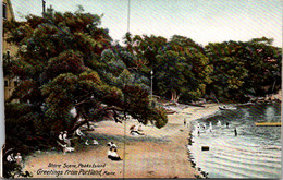 Maine Portland Greetings Peaks Island Shore Scene - Portland