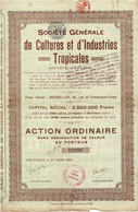 - Titre De 1924 -  Société Générale De Cultures Et D'Industries Tropicales - Suriname - - Agricoltura