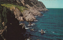 St. John's, Newfoundland, Magnificent "Long Marine Drive' Out Of St. John's Offers 40 Miles Of Striking Marine Landscape - St. John's