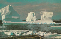 Iceberg Off Twillingate, Notre Dame Bay, Newfoundland - Andere & Zonder Classificatie