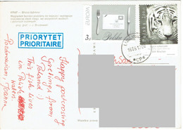 C9 :Poland - Tiger, Big Cat, Forks And Knife, Envelope, Cover, Stamp On Stamp Stamps Used On Postcard - Cartas & Documentos