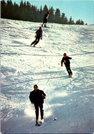 (1 P 20) France (posted) Ski - Sports D'hiver