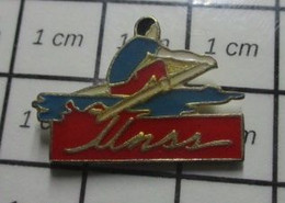 1717 Pin's Pins / Beau Et Rare / SPORTS / AVIRON UNSS - Aviron