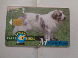 Spain Phonecard - Other & Unclassified