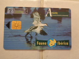 Spain Phonecard - Altri & Non Classificati