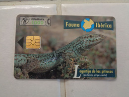 Spain Phonecard - Andere & Zonder Classificatie