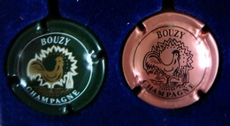 2 PLAQUES DE MUSELET DE CHAMPAGNE " BOUZY N° 15d ET 17 " - Bouzy