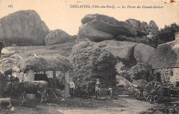 29-TREGASTEL-LA FERME DES GRANDS-ROCHERS - Trégastel