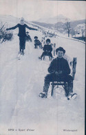 Sport D'hiver, Partie De Luges Et De Ski (9719) - Sports D'hiver